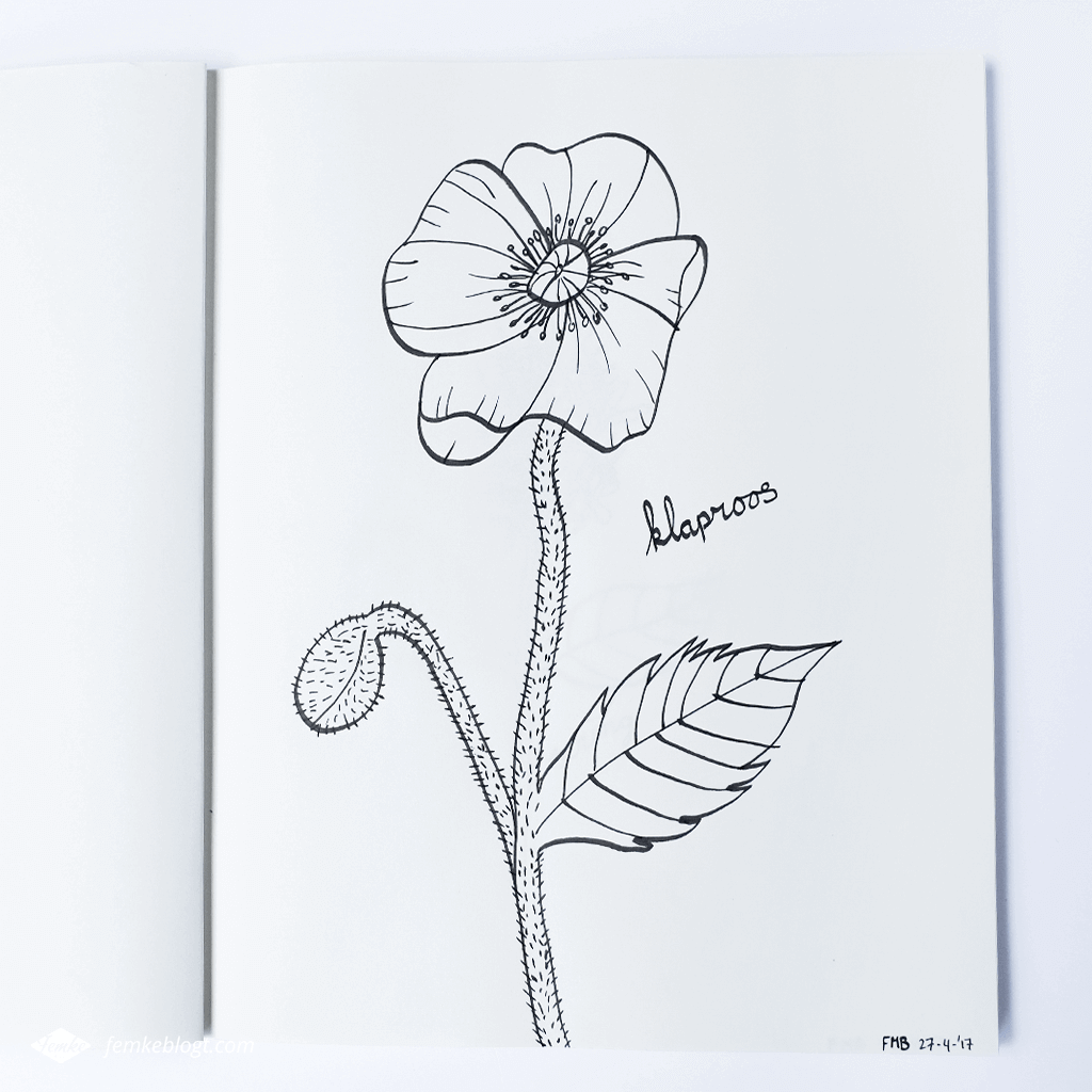 31 Dagen bloemen | Klaproos