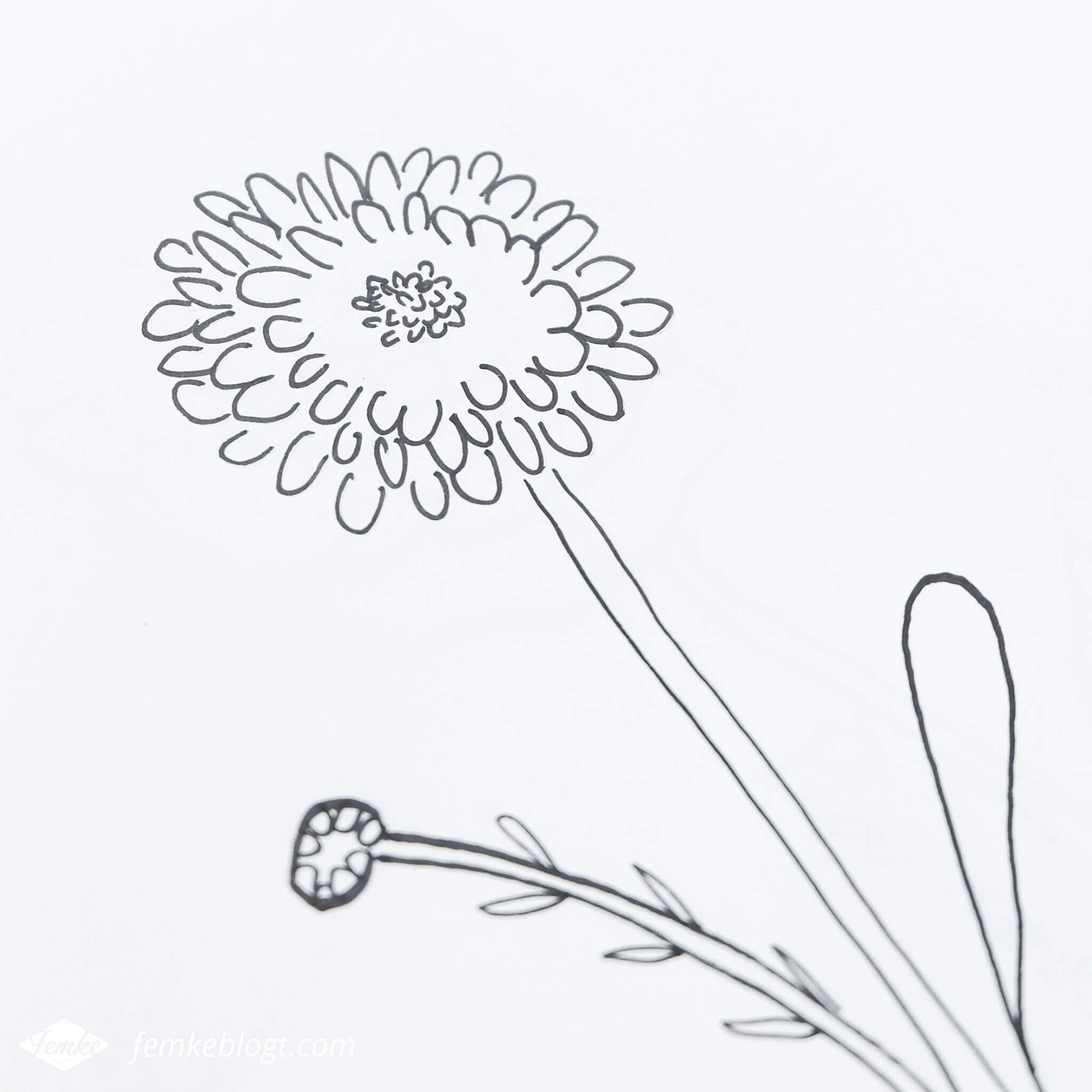 31 Dagen bloemen #3 | In deel 3 van de 31 Dagen bloemen serie gaan we de chrysant tekenen