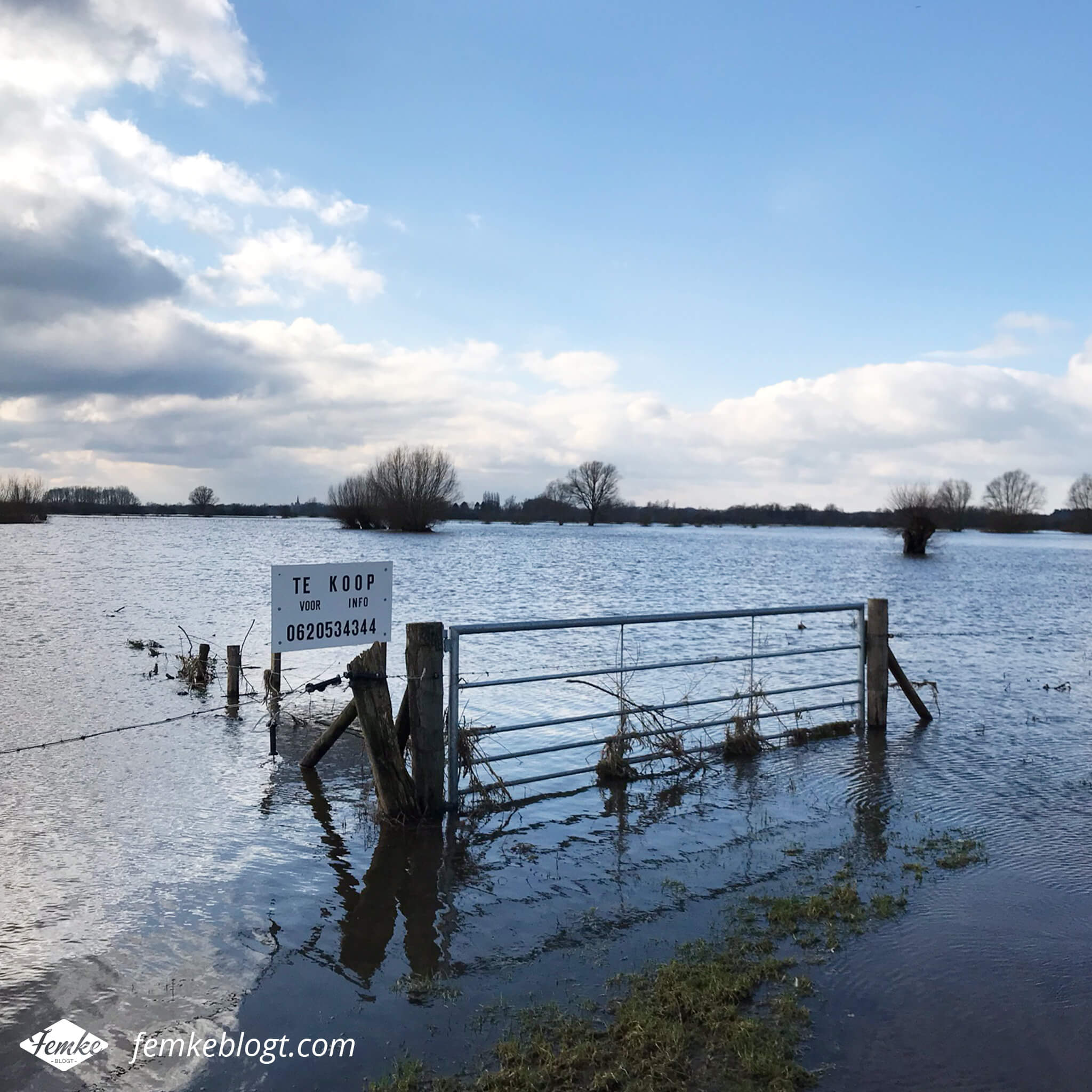 Maandoverzicht februari | Hoog water bij de IJssel