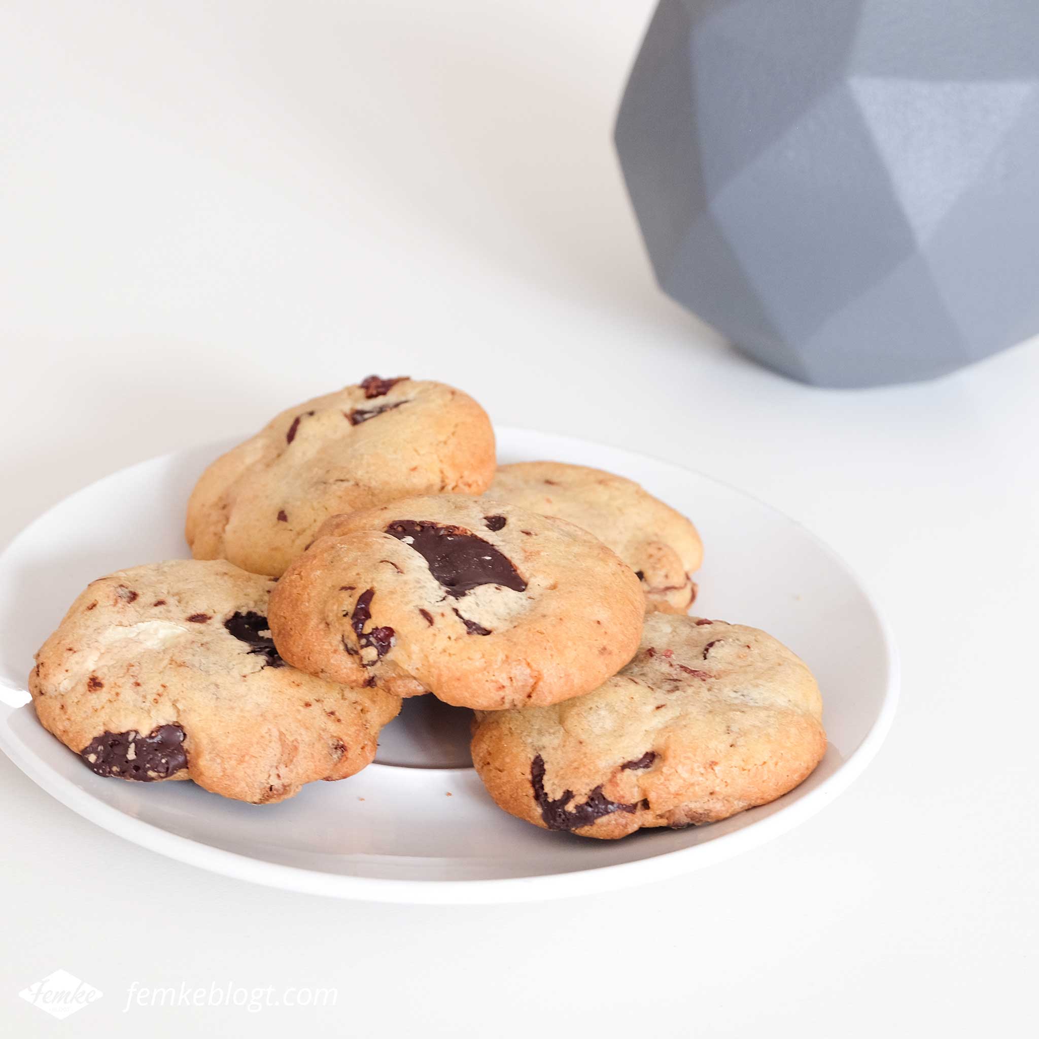 Maandoverzicht maart | Cranberry chocolate chip cookies