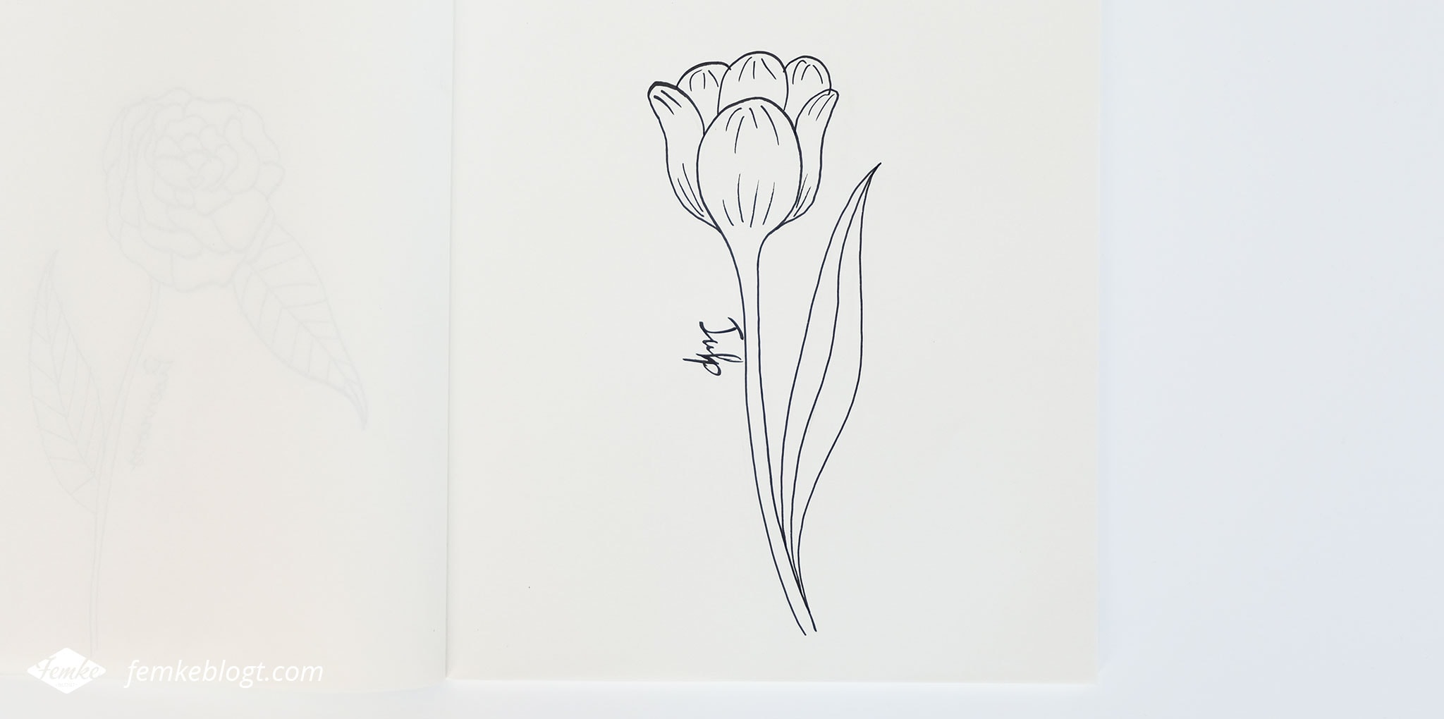 31 Dagen bloemen #5 | In deel 5 van de 31 Dagen bloemen serie gaan we de tulp tekenen