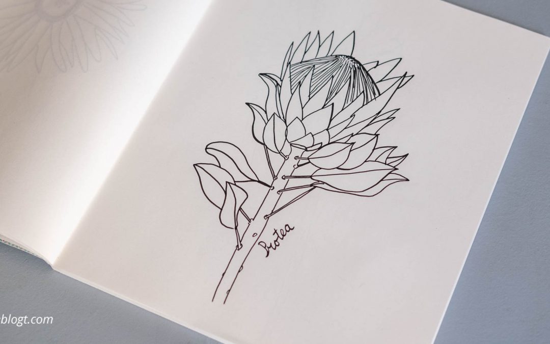 31 Dagen bloemen #11 – Protea