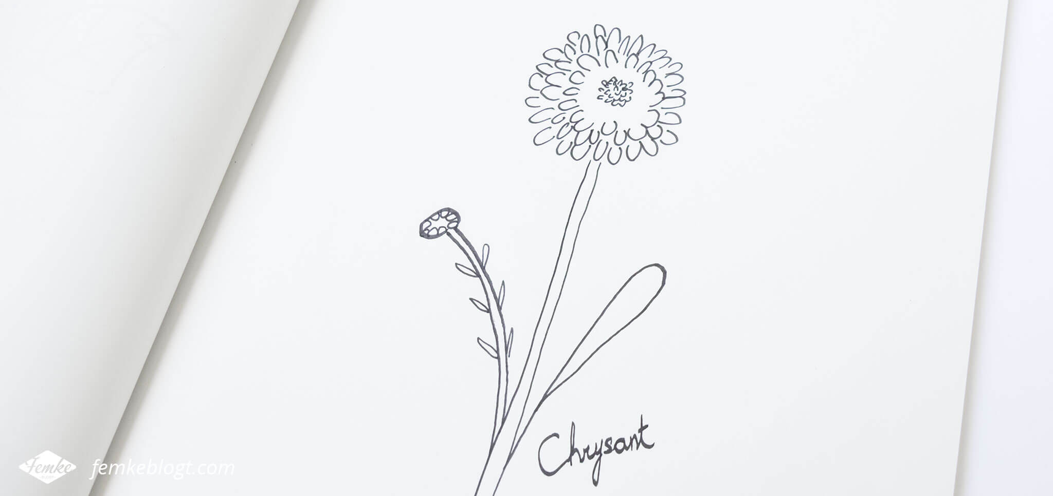 31 Dagen bloemen #3 – Chrysant