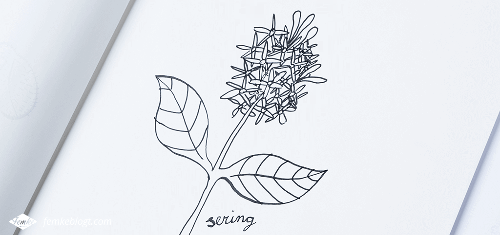 31 Dagen bloemen #2 – Sering