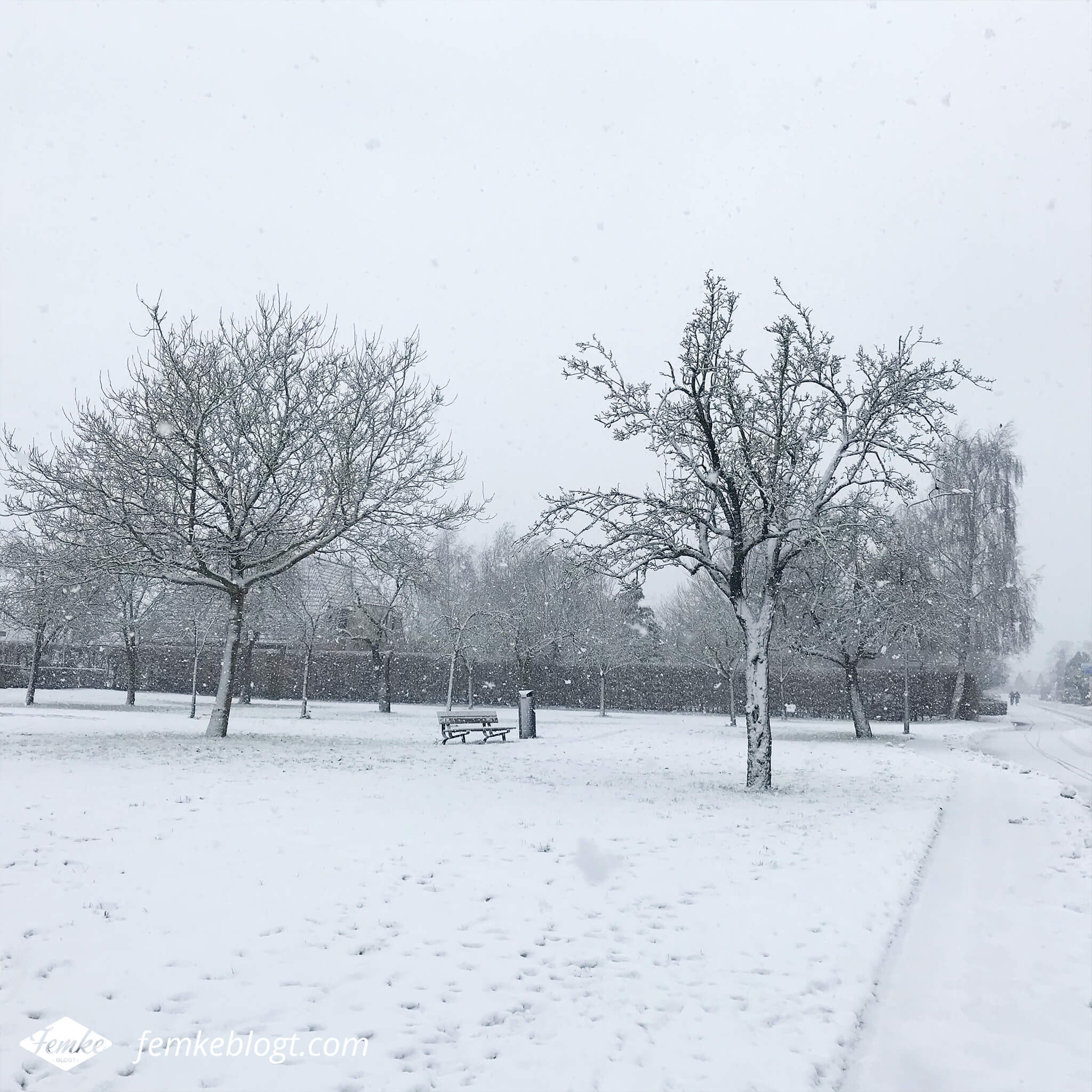 Maandoverzicht december | Sneeuw in Nederland, dus tijd voor een winterse wandeling!