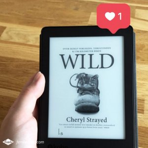Maandoverzicht november | Wild, Cheryl Strayed