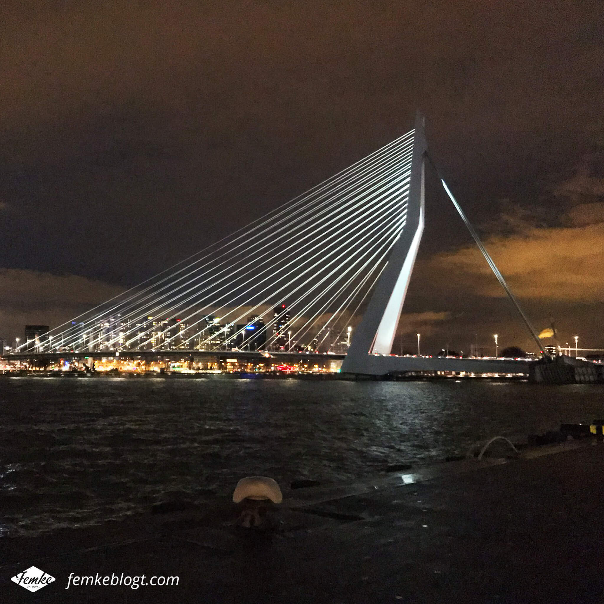 Maandoverzicht november | Erasmusbrug Rotterdam